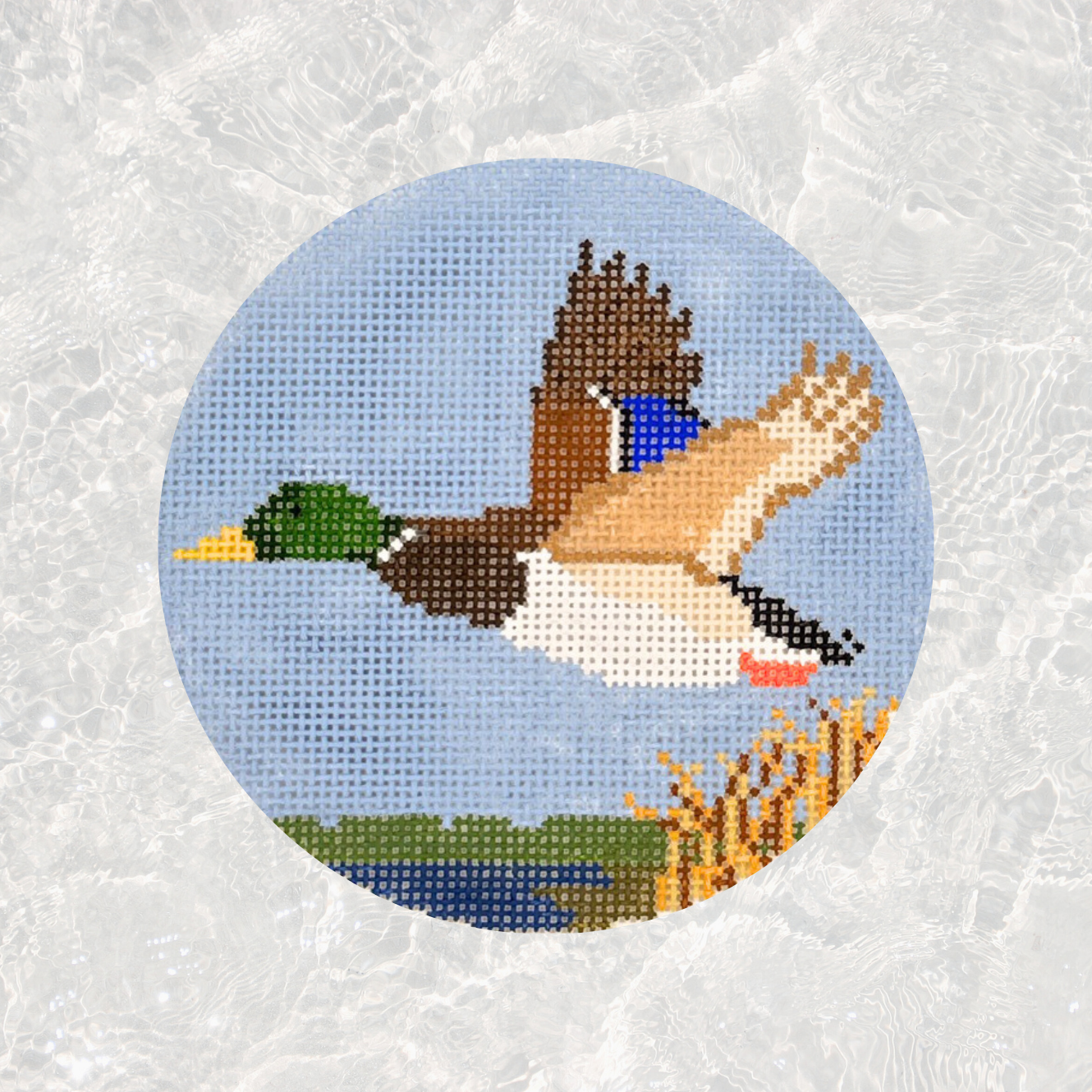 Mallard Over Marsh