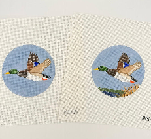 Mallard Over Marsh