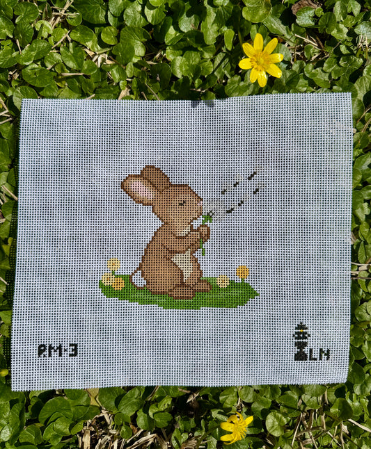 Bunny Wishes